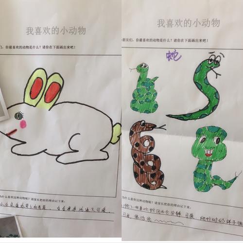 一起和爸爸妈妈完成的调查表 我画得小动物可爱吗?