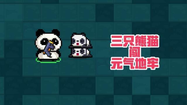 有图有证据,跟着熊猫一起往下看~欢迎来到由熊猫君主讲的《元气骑士》