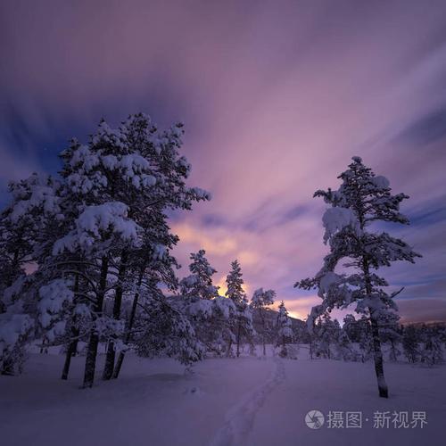 在雪堆的森林里的夜晚.挪威冬季