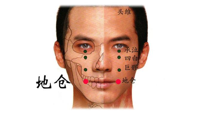 颊车:在面颊部,下颌角前上方约一横指 中指 ,当咀嚼时咬肌隆起,按之