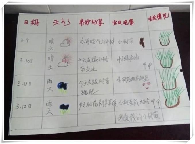 认真做好植物宝贝的生长记录