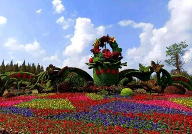 提前探秘花博会举办地!国庆去崇明东平森林公园看立体