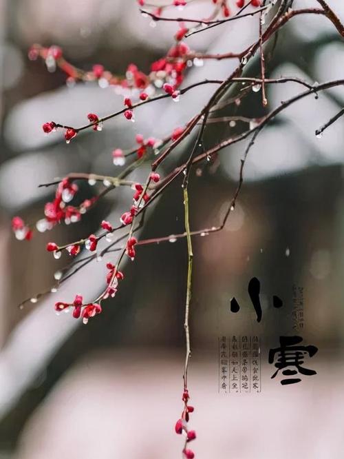 今日小寒送上小寒节气祝福图片祝大家健康喜乐财运滚滚