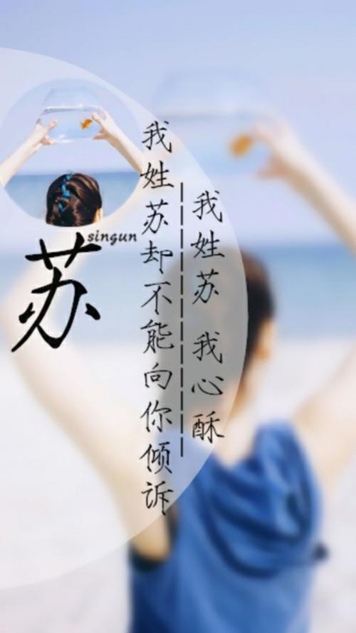 我姓苏的文字图片