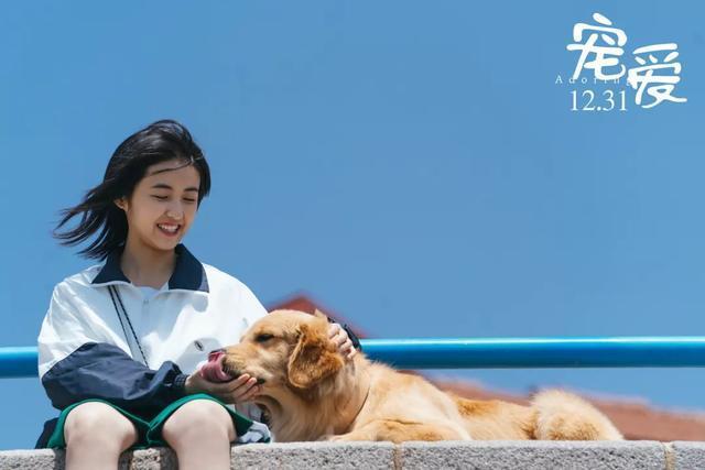 陶虹:小姑娘就是来美化生活的,子枫妹妹真的是好好看让人很舒服