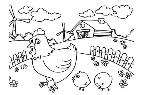 农场里的母鸡和小鸡简笔画画法图片