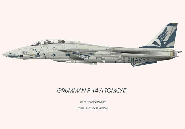 f-14战斗机侧视图