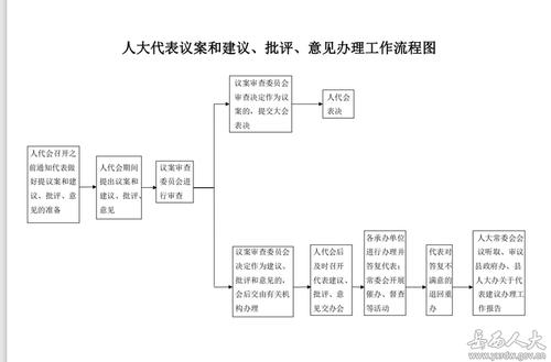人大代表议案和建议,批评,意见办理工作流程图