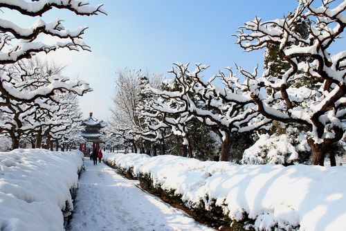 春雪降京城拍天坛雪景