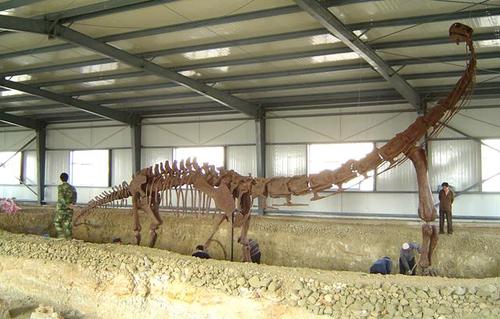 沧海桑田灵武龙