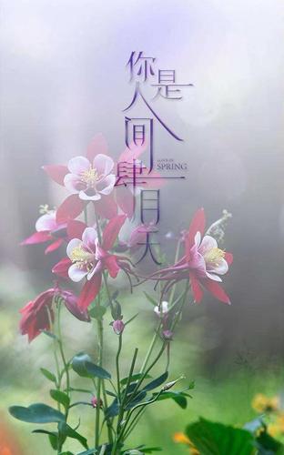 今日问候:三月再见,四月你好!
