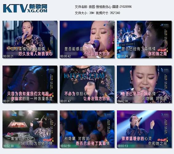 单曲-田园-别怕我伤心(天籁之战)(现场版)-国语-21028996