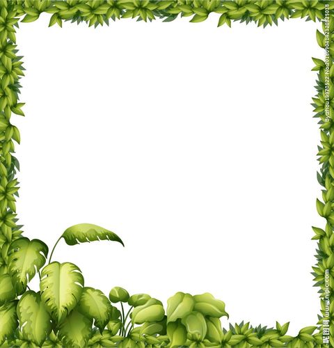 植物背景图片