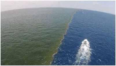 阿拉斯加湾 是世界9大著名海湾之一 海面呈现两个颜色 由于密度关系