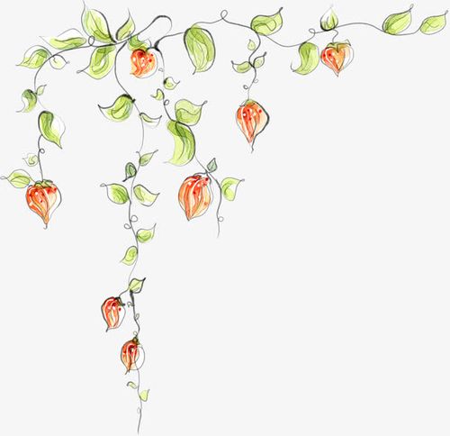 手绘红色漫画藤蔓装饰