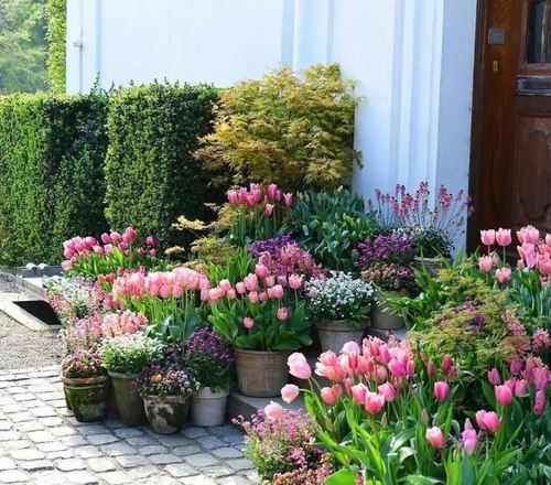 小庭院景观设计——利用小庭院植物引导空间