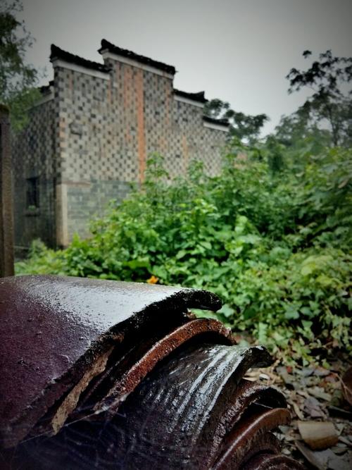 古村之殇 1 金溪县合市镇游垫村(手机拍)