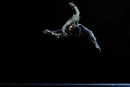 第十二届中国舞蹈"荷花奖"当代舞,现代舞评奖活动:充分展现舞蹈艺术