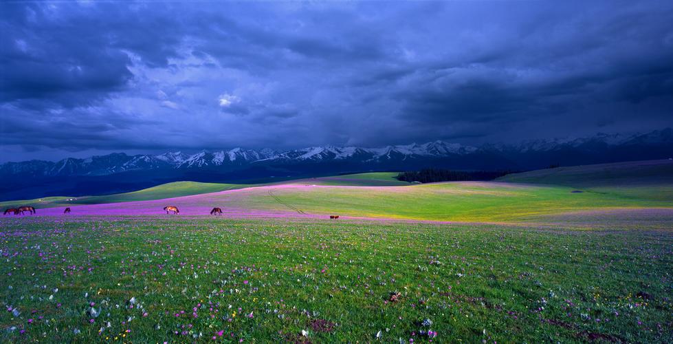 【散客拼团f105】夏塔 阔克苏大峡谷 那拉提,巴音布鲁克,赛里木湖双飞