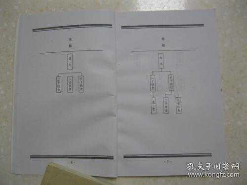 董姓家谱新编董氏族谱山西省闻喜县阳隅乡丈八村一带