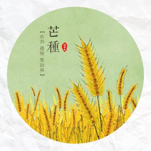 今天芒种,为何说陈皮冬瓜绿豆老鸭特别适合芒种喝,看