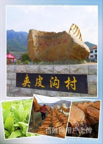 正宗夹皮沟旱烟黄烟关东烟沫烟叶铁盒送礼佳品