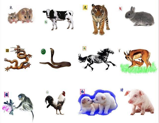 十二生肖排序的由来