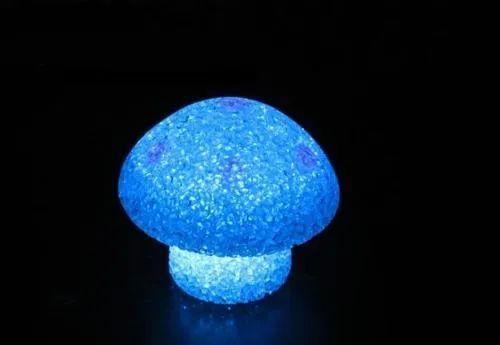 云南发现罕见发光蘑菇!还有还魂草,风流草……太神奇了!