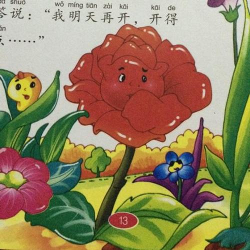 流星花