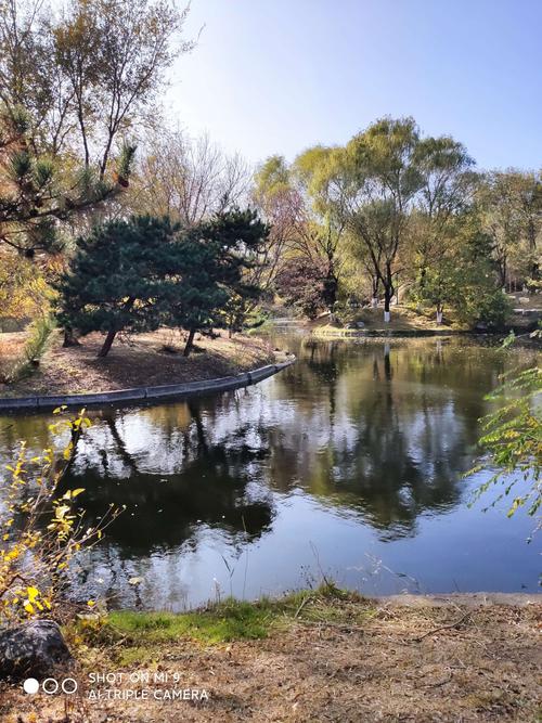 奥森北园秋之韵