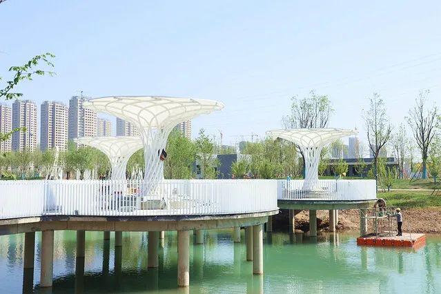 5月1日,周口芙蓉湖公园正式开园!又一个游玩好去处