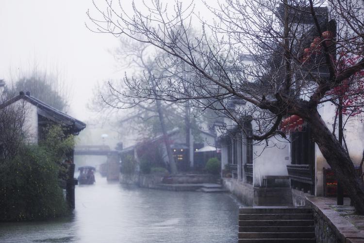 掬一水柔情,盈一袖暗香,从一条雨巷出发,轻轻的,我便走进了烟雨江南.