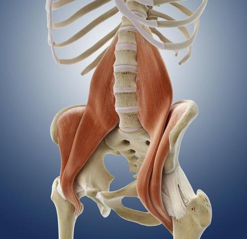 一活动髋部就觉得紧张怎么办,教你如何全面提升髋关节