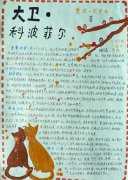 大卫上学期的手抄报 新学期的手抄报