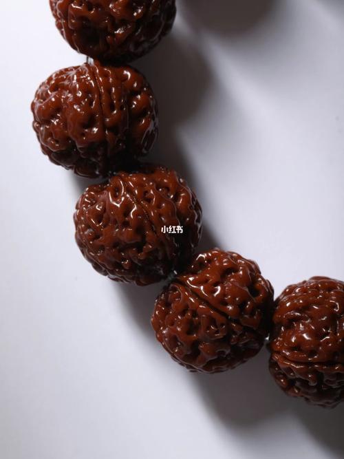 【金刚 · 爆肉蜂王】_菩提_尼泊尔_金刚菩提_兴趣爱好_兴趣爱好其他