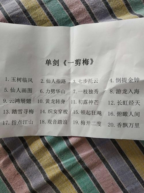 抒怀剑"一剪梅"