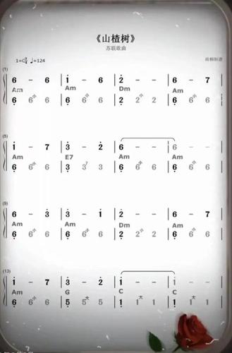 山楂树手风琴简谱五线谱