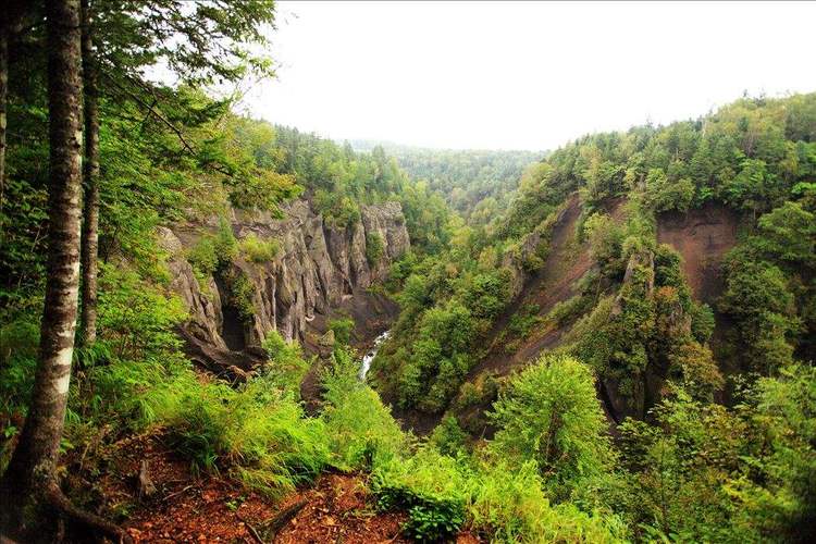 长白山大峡谷长70多公里,乃火山爆发后熔岩石表面的火山灰和泥土被江