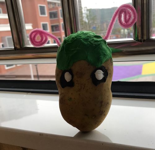 建德市洋安幼儿园中班段小朋友蔬菜主题活动 写美篇    三,土豆大变身