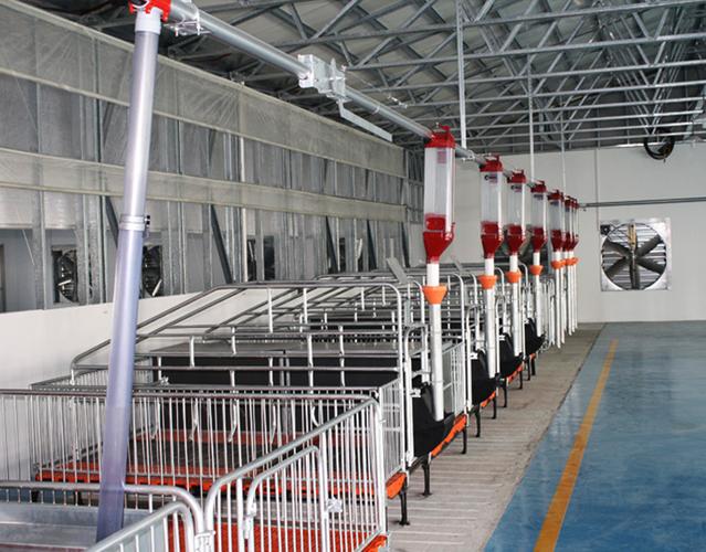 养猪设备应该怎么选择