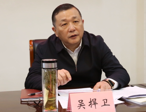 蚌埠市召开市域社会治理现代化试点工作推进会暨重难点问题专题调度会