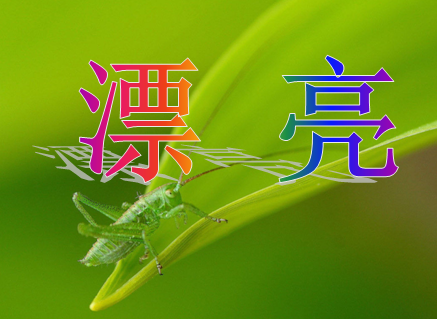 (漂亮)俩字文字图片制作