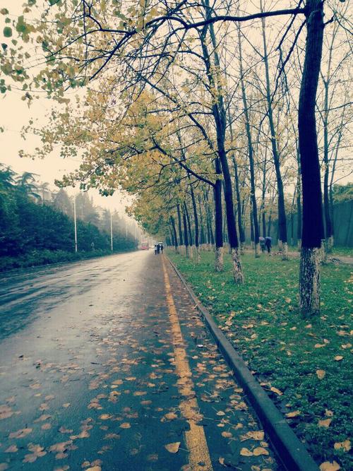 莫怪冷雨凉心骨,厚冰冻时更深入.
