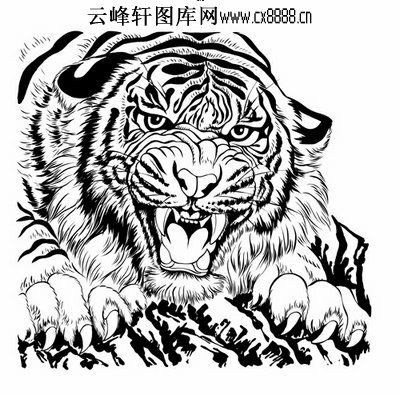 首页 国画白描画线描图系列 虎白描图案,虎线描图,虎图 本页编号:491