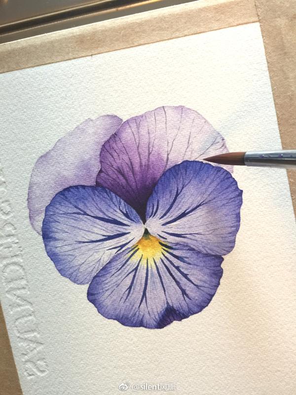 画一朵三色堇【绘画工具】水彩纸:获多福细纹190克,樱花尼龙水彩笔