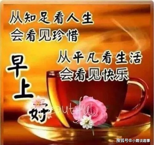感情,要的是温暖;爱人,要的是体贴,早安
