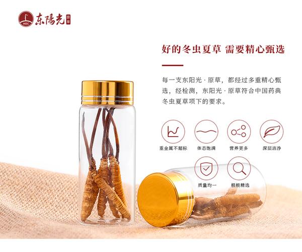 东阳光冬虫夏草5g/约25根aa级送礼瓶装虫草原草正品净制冻干_7折现价