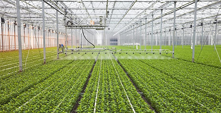 智慧大棚联网解决方案