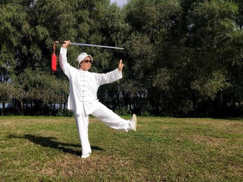 武当太极十三式