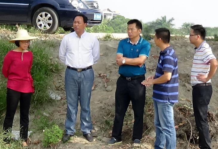 合浦县委,县政府组织深入开展"美丽合浦"乡村建设活动,以现代特色农业